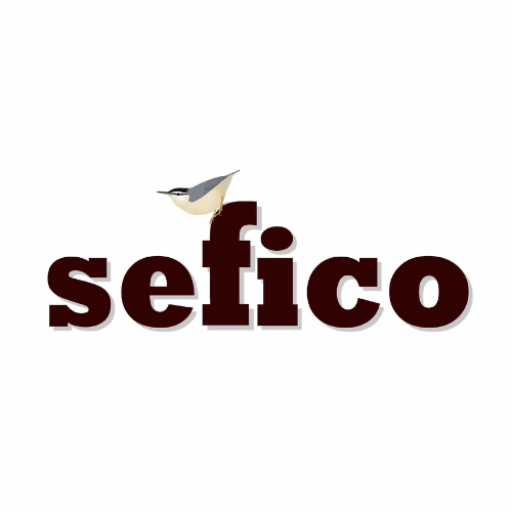 cropped-Design-sans-titre-4.png FAVICON SEFICO