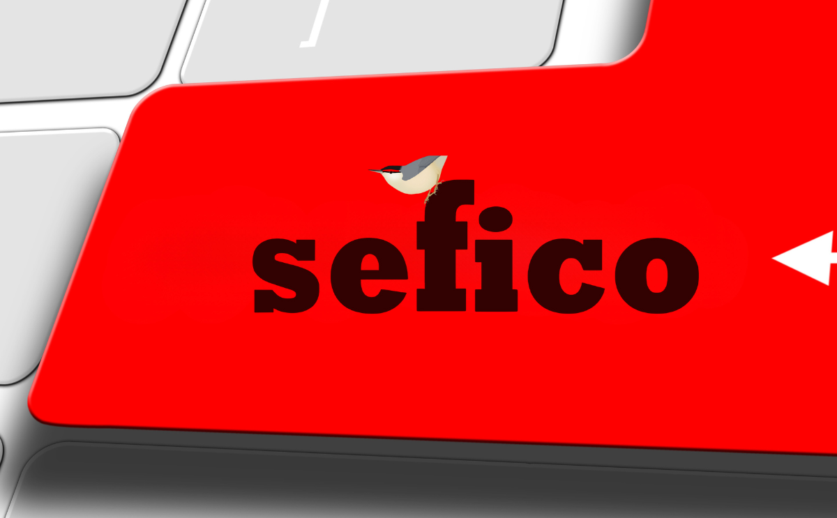 sefico-articles (1) Vous ne connaissez pas encore Sefico ? C’est le moment idéal pour découvrir nos produits et services ! Nous mettons à votre disposition un catalogue complet, des solutions adaptées à vos besoins, et bientôt une boutique en ligne BtoB qui simplifiera vos commandes.