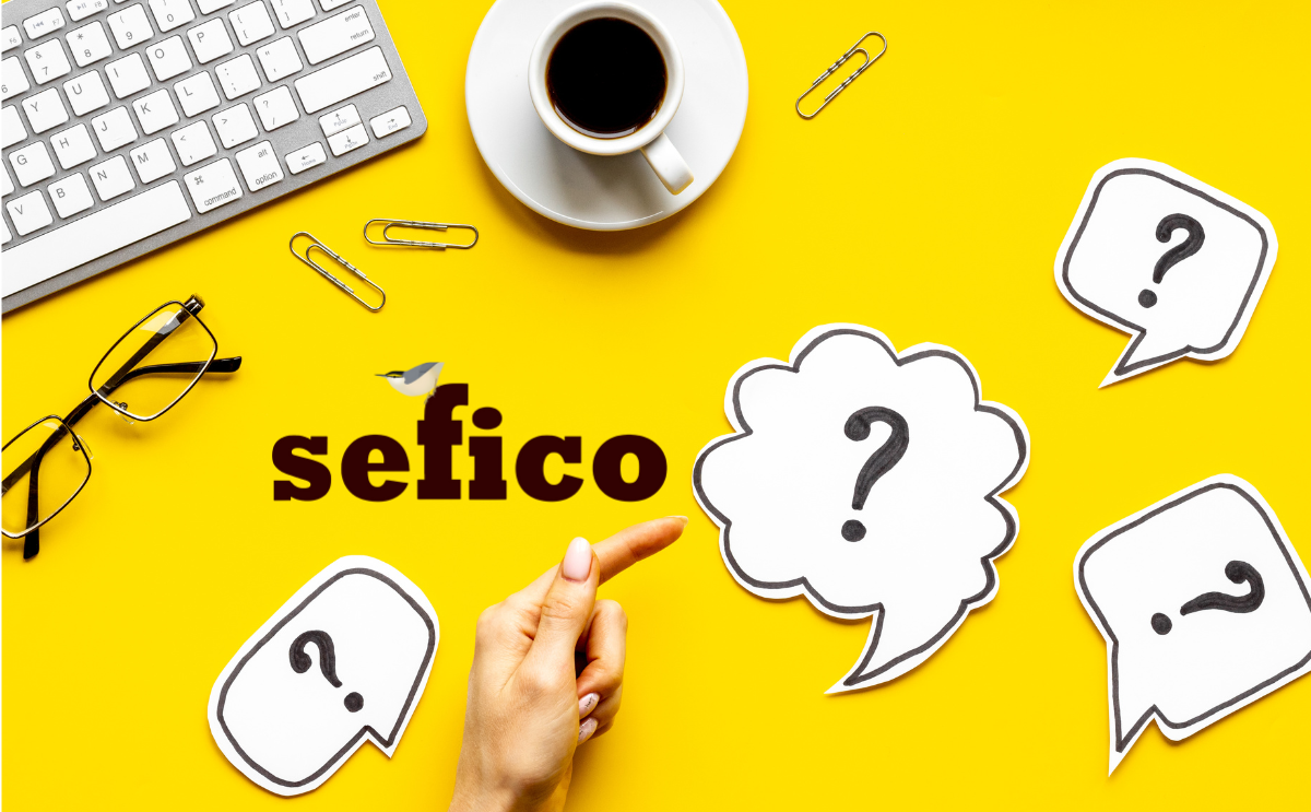 sefico-articles (2) Vous vous interrogez sur le fonctionnement du nouveau site ? Vous vous demandez comment activer votre compte, passer une commande ou retrouver vos factures ? 📖 Nous avons pensé à tout : la FAQ Sefico est là pour vous aider.